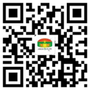 官方微博 官方微博